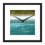 Sanchezn Swallow Bird Drinking Swimming Pool Photo 8X8 Inch Square Wooden Framed Wall Art Print Picture with Mount