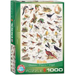 EuroGraphics- Birds Oiseaux Puzzle, 6000-1259, Coloris Assortis, 48 x 68 cm