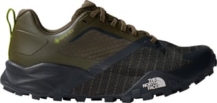 The North Face Men's Offtrail TR GORE-TEX Running Shoes New Taupe Green/Asphlt Grey, 44