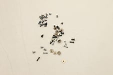 Lenovo SCREW Screw Pack C 21DK