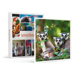 Journée zoo en famille pour 1 adulte et 2 enfants au Safari de Peaugres - SMARTBOX - Coffret Cadeau Sport & Aventure