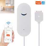 Smart Water Leak Detector Wifi For App Alarm Home Shop Office Warehou GFL