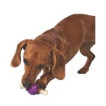 PetSafe Busy Buddy Bouncy Bone - L (Över 34 kg)