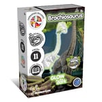 Science4you Brachiosaurus Fossil Digging Kit for Kids - Excavate and assemble 11 pieces Dinosaur Fossil, Glow-in-the-dark Excavation Dig Kit, Games, Dinosaur Toys for Girls and Boys 6+ years old