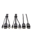 Tripp Lite Dual DisplayPort KVM Cable Kit 4K USB 3.5 mm Audio 3xM/3xM 6ft - video / USB / audio cable - 1.83 m