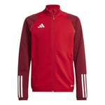 adidas Unisex Kid's Tiro 23 Competition Training Track Top Tracksuit Jacket, Team Power Red 2, 164 (EU)