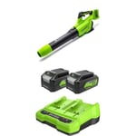 Greenworks 48V(2x24V) Cordless Axial Leaf Blower with Brushless Motor, Turbo Function, 217km/h, 16.4m³/min, PLUS Two of 4Ah Batteries & Charger, 3 Year Guarantee GD24X2ABK2X