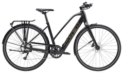 Trek FX + 2 Stagger LT L