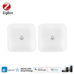 Zigbee-Capteur de fuite d'eau Ewelink,maison intelligente,capteur d'immersion sans fil,application de surveillance à distance,détecteur de fuite d'eau,alarme - Type 2pcs