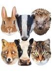 Star Cutouts Ltd Badger, Fox, Cow, Hedgehog, Cat, Rabbit l Pack of Six l, Multicolour,29cm x 21cm / 11.4 in x 8.2 in 1