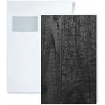 1 échantillon S-25549 Wallface Carbonized Wood Nature nature Collection échantillon Panneau mural au format A5