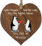 You Are My Penguin Anniversary Hanging Wooden Heart Sign Plaque - Cute Valentines Birthday for Girlfriend Wife Dark Wood Hearts Sign, Sweet Romantic I Love You Gifts for Her Him