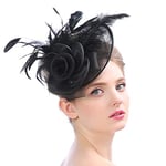 Épingles à cheveux Femme Accessoire Coiffure Mariage Chapeau Bibis Fascinator Bride en Maille Élégantes Serre-tête pour Cocktail Derby Cérémonie Photographe Fête Soirée Déguisement,Noir,Taille unique