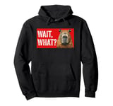 Wait, What? Funny Capybara Graphic Men Women Teens Pullover Hoodie