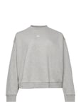 Adicolor Essentials Crew Sweatshirt Sport Sweat-shirts & Hoodies Sweat-shirts Grey Adidas Originals