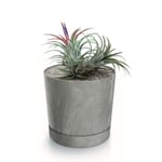 Botle Pot De Fleur Rond Gris Clair Plastique Beton Effect Cache Pot 28,3 Cm Decoratif Bac A Plantes Avec Soucoupe Fleurs