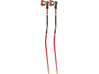 Leki Sticks Leki Wcr Tbs Gs 3D 120