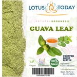 Lotustoday Guava Leaves Tea Loose Tea 85g Raw Vegan Diabetic Diet Herbal Tea