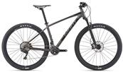 GIANT VTT Terrago 29 1 (GE)