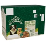 James Wellbeloved Grain Free Puppy Dog Food with Turkey in Gravy Pouch 12 x 90 g