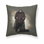 Housse de coussin Harry Potter Hagrid Multicouleur 50 x 50 cm