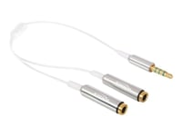 Delock - Répartiteur audio - mini jack 4 pôles femelle pour mini jack 4 pôles mâle - 25 cm - blanc