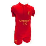 Liverpool FC Childrens/Kids 2012/13 T Shirt And Short Set - 6-9 Months