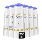 DOVE - Shampooing Réparation Intense - Nourrit les cheveux abîmés - Renforce les cheveux et aide à la réparation (lot de 6x250ml)