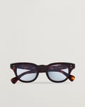 Eyevan 7285 353 Sunglasses Tortoise