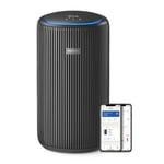 Smart Air Purifier