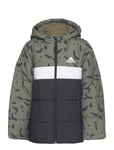 Jb Cb Pad Jkt Sport Jackets & Coats Quilted Jackets Khaki Green Adidas Sportswear