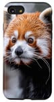 iPhone SE (2020) / 7 / 8 Red Panda Case