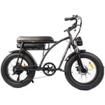 Bezior XF001, 12,5AH 48V 1000W, 26tum Shimano 7-växlad, Vintage E-cykel Max belastning 120 kg