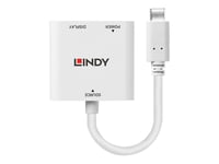 Lindy USB 3.1 Type C to DisplayPort Converter with Power Delivery - Câble DisplayPort - 24 pin USB-C (M) pour DisplayPort, 24 pin USB-C (F) - USB 3.1 / Thunderbolt 3 / DisplayPort 1.2 - 1.5 m -...