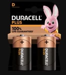 Blister 2 piles Duracell type D pour torche - 100% extra longue durée MN1300PLU