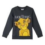 Tröja utan huva Barn The Lion King Mörkgrå - 3 år