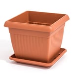 Prosper Plast Dkwt37-r624 37 x 37 x 30 cm "Terra" Pot à fleurs en terre cuite (1 pièces)