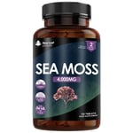 Sea Moss Supplement 120 Tablets Extract High Strength 4000mg - Vegan, UK made