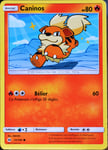 Carte Pokémon 21/149 Caninos 80 Pv Sm1 - Soleil Et Lune Neuf Fr