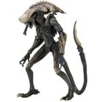 ALIEN VS PREDATOR - Chrysalis Alien Action Figure Neca