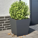 Vidaxl Jardinières 2 Pcs Anthracite 40x40x40 Cm Acier