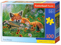 Palapeli 100 palaa, Foxy Dreams