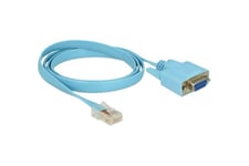 Delock Adapter RS-232 DB9 female > 1 x Serial RS-232 RJ45 male - serielt kabel - DB-9 til RJ-45 - 1 m