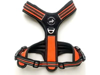 All For Dogs All For Dogs Szelki 3X-Sport Pomarań. Xs