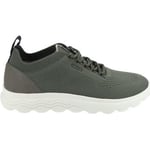 Baskets basses Geox  Sneaker