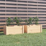 vidaXL plantekasser 2 stk. 60x31x31 cm massivt fyrretræ