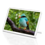 Indochinese Green Magpie Classic Fridge Magnet - Bird Emerald Cute Gift #12570