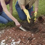 Couteau de Jardin en Acier Inoxydable pour travaux de Jardinage Jaune