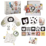 Taf Toys Hello Baby Nyfödd Kit Multi