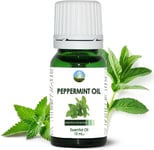 Peppermint Oil Essential, Pure Peppermint Oil, Pepermint Oil, Peppermint Mint Oi